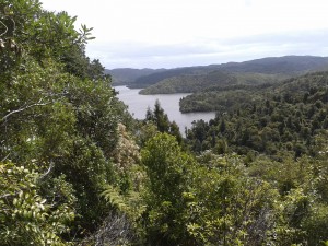 One of the Dams in the Hunuas