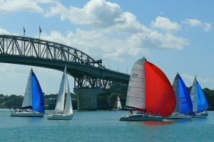 Auckland Sails © auckland-west.co.nz